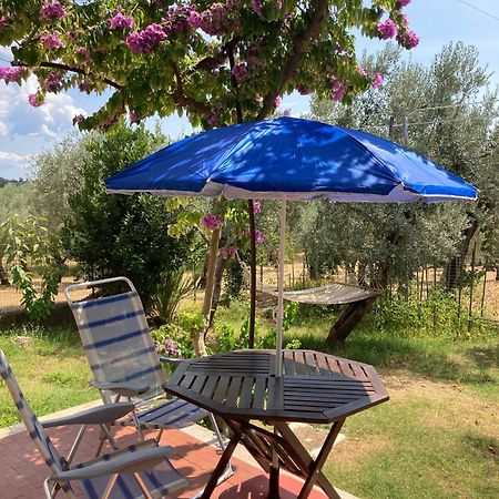 Casa Sisu-Appartamento Immerso Negli Ulivi Sant'Elia Fiumerapido Ngoại thất bức ảnh