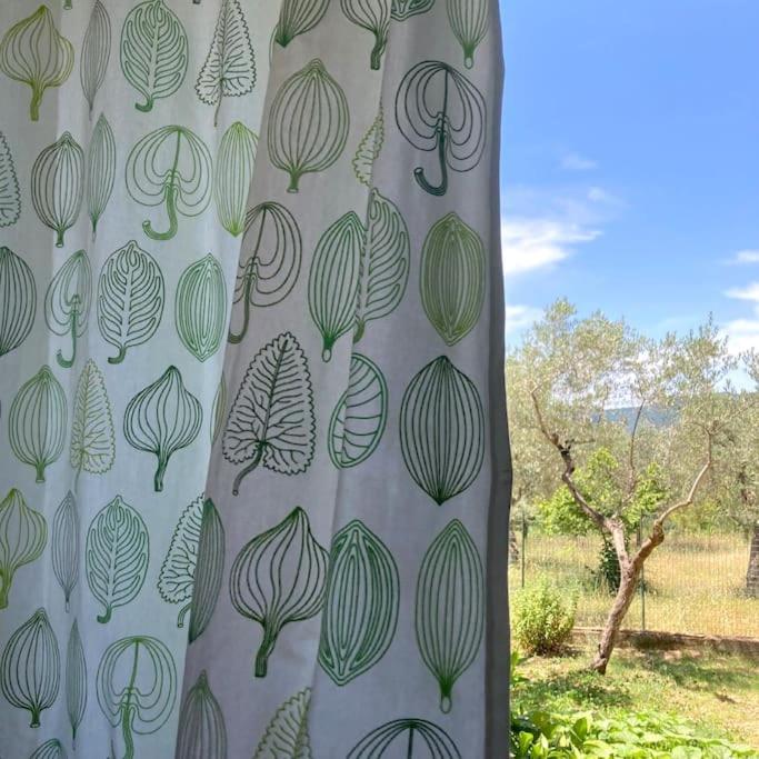 Casa Sisu-Appartamento Immerso Negli Ulivi Sant'Elia Fiumerapido Ngoại thất bức ảnh