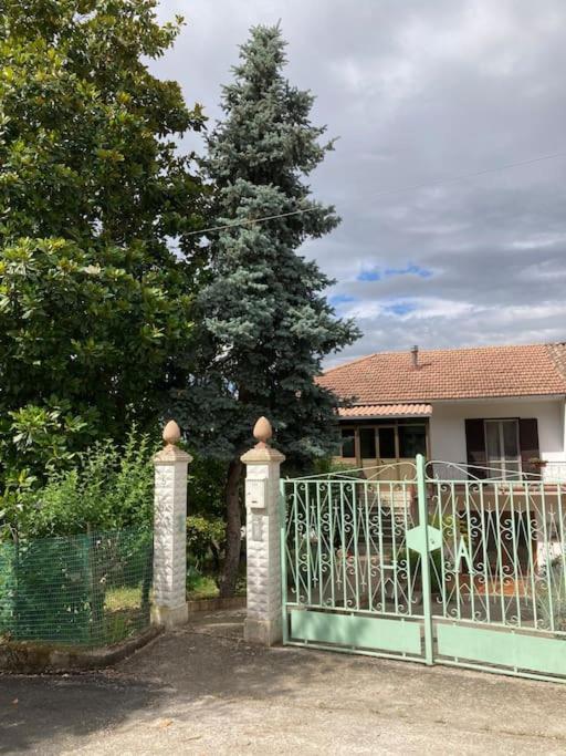Casa Sisu-Appartamento Immerso Negli Ulivi Sant'Elia Fiumerapido Ngoại thất bức ảnh