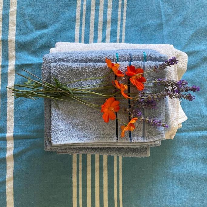Casa Sisu-Appartamento Immerso Negli Ulivi Sant'Elia Fiumerapido Ngoại thất bức ảnh