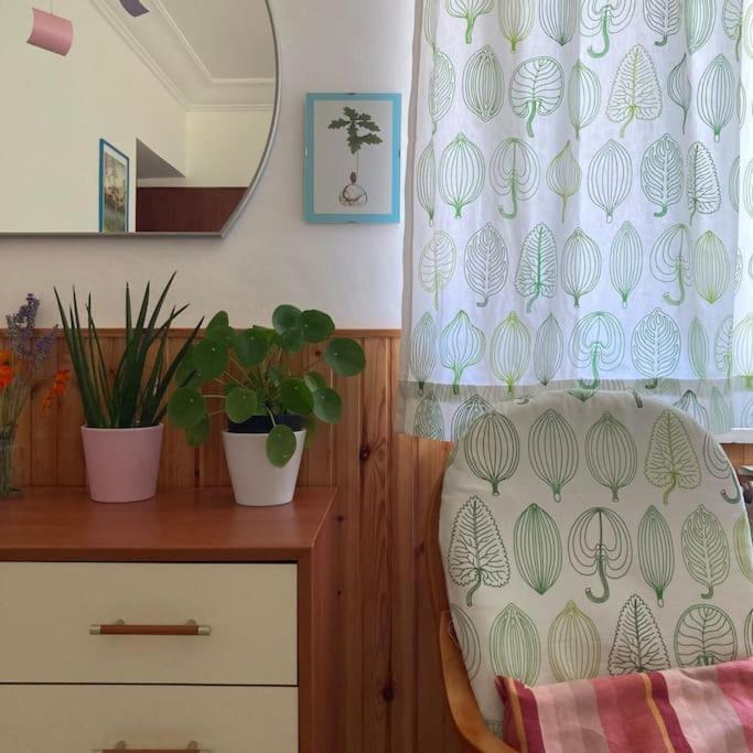 Casa Sisu-Appartamento Immerso Negli Ulivi Sant'Elia Fiumerapido Ngoại thất bức ảnh